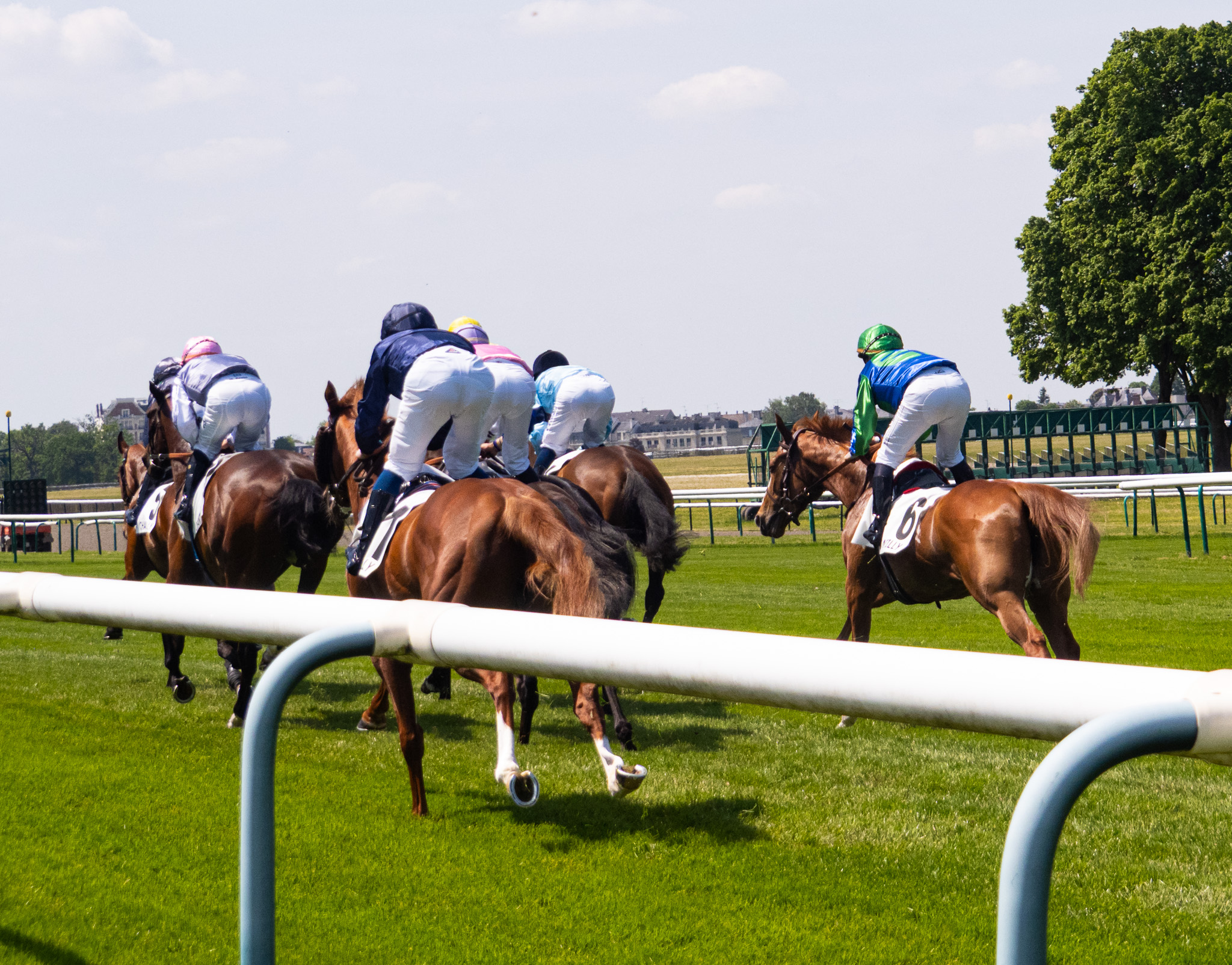 Hippisme