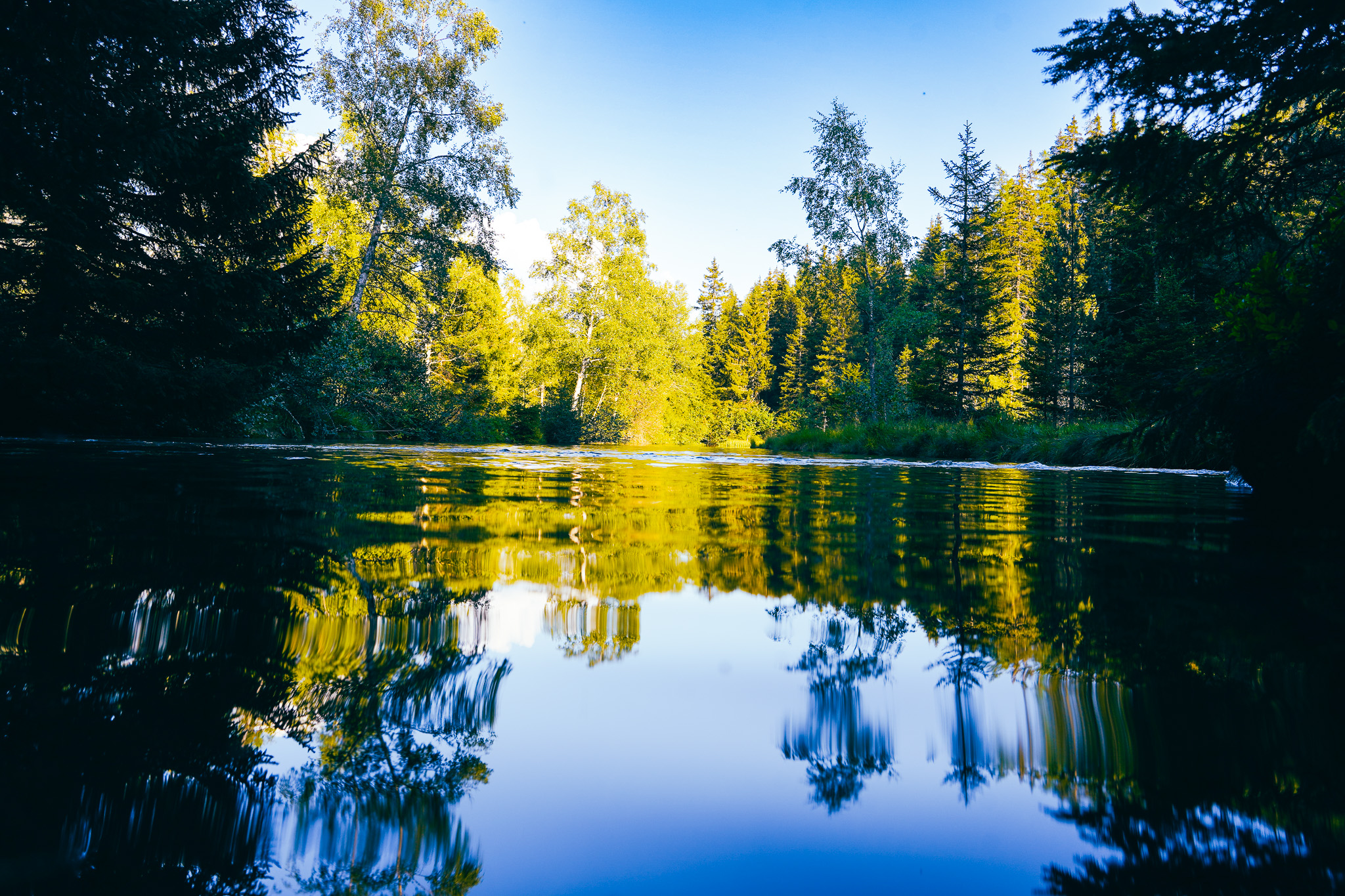 lac